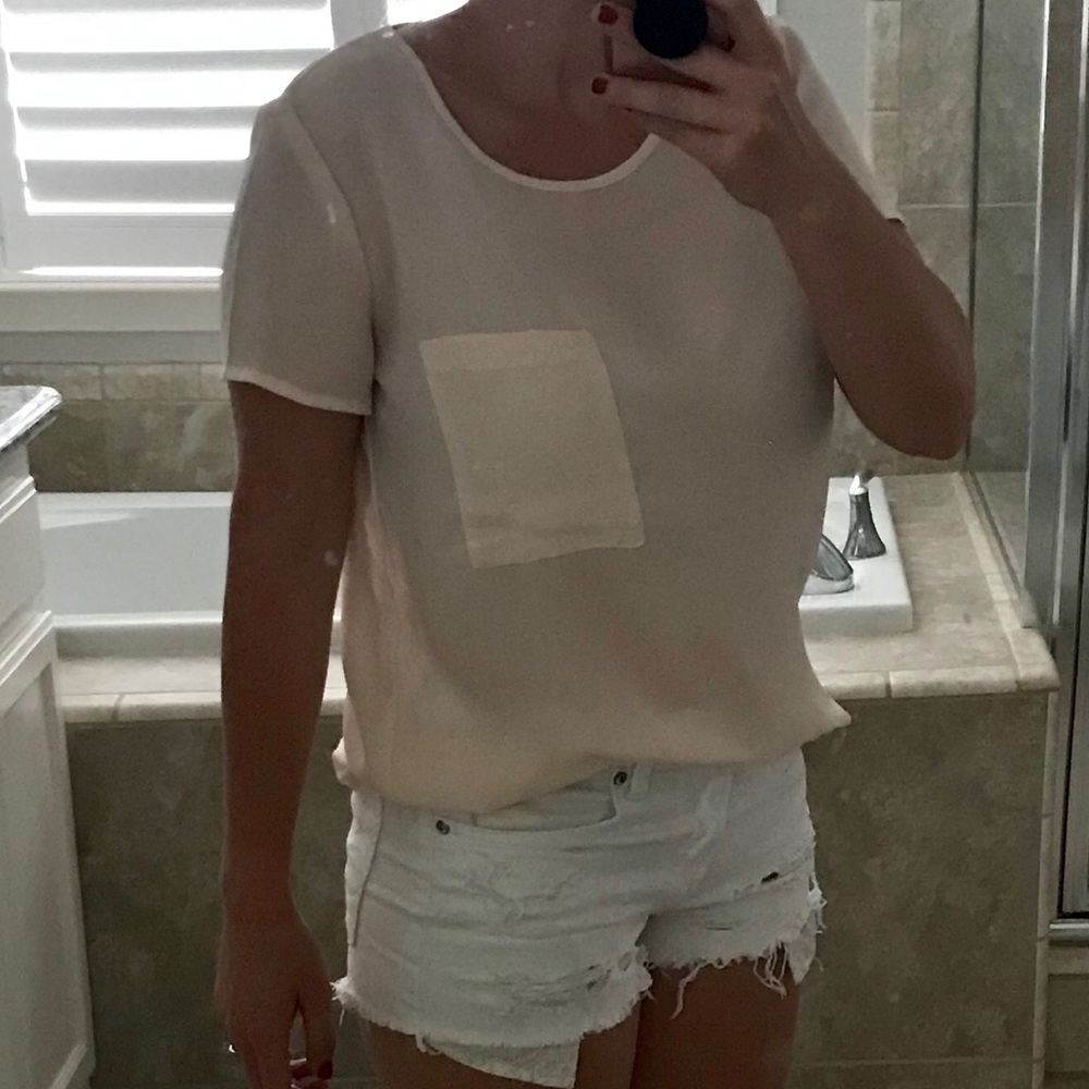 Sheer Pink Blouse